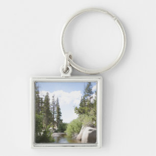 USA, California, Sonora Pass, Landscape with Key Ring