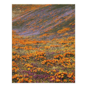 USA, California, Tehachapi Mountains, 2 Photo Print