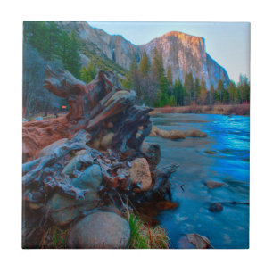USA, California. Tree Roots In Merced River Ceramic Tile