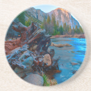 USA, California. Tree Roots In Merced River Coaster