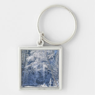 USA, California, Yosemite National Park, 2 Key Ring