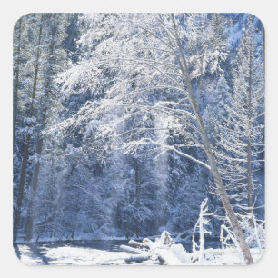 USA, California, Yosemite National Park, 2 Square Sticker