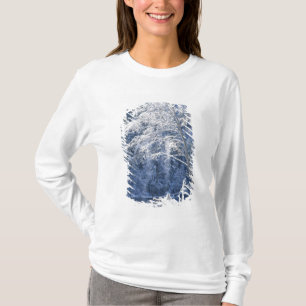 USA, California, Yosemite National Park, 2 T-Shirt