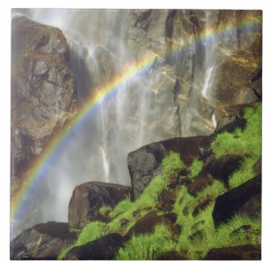 USA, California, Yosemite National Park. A Ceramic Tile