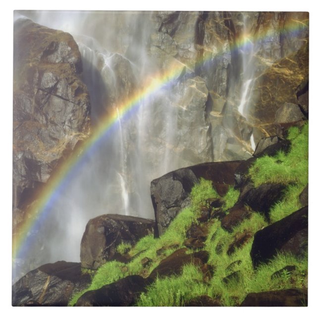 USA, California, Yosemite National Park. A Ceramic Tile (Front)