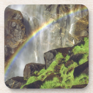 USA, California, Yosemite National Park. A Coaster