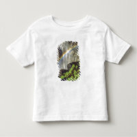 USA, California, Yosemite National Park. A