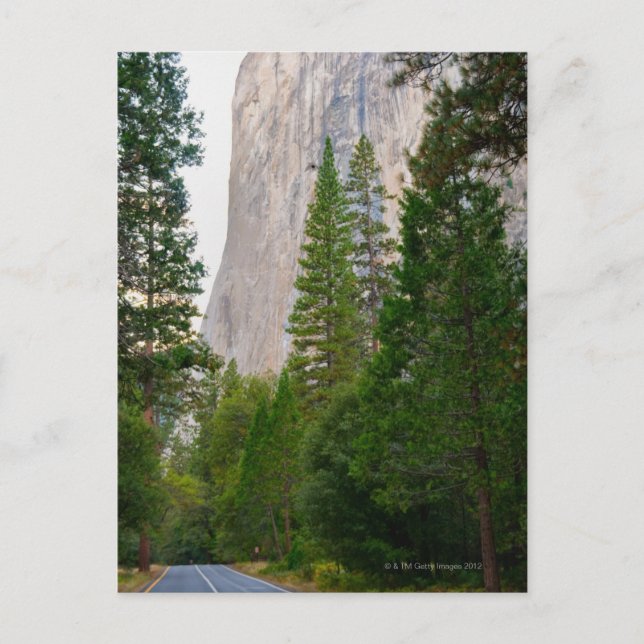 USA, California, Yosemite National Park, El 4 Postcard (Front)