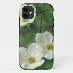 USA, California, Yosemite NP, along Merced iPhone 11 Case