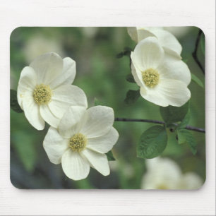 USA, California, Yosemite NP, along Merced Mouse Pad