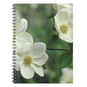 USA, California, Yosemite NP, along Merced Notebook