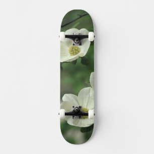 USA, California, Yosemite NP, along Merced Skateboard