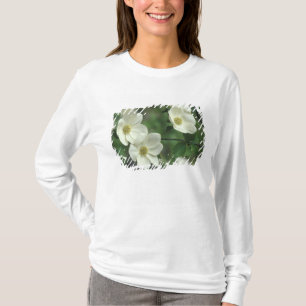 USA, California, Yosemite NP, along Merced T-Shirt