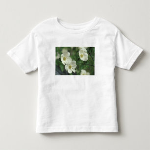 USA, California, Yosemite NP, along Merced Toddler T-Shirt