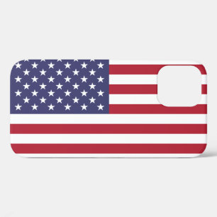 USA iPhone 12 CASE