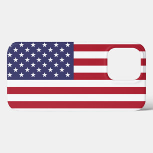 USA iPhone 13 PRO CASE
