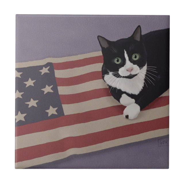 USA Cat  Ceramic Tile (Front)