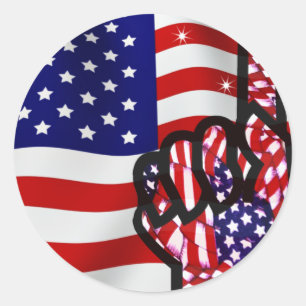 USA!_ CLASSIC ROUND STICKER