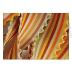 USA. Close-up of dried rainbow pasta noodles.