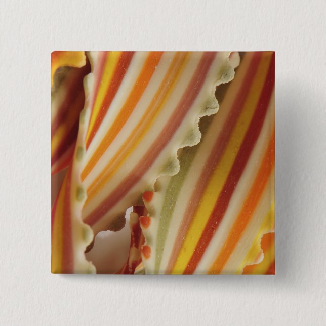USA. Close-up of dried rainbow pasta noodles. 15 Cm Square Badge (Front)