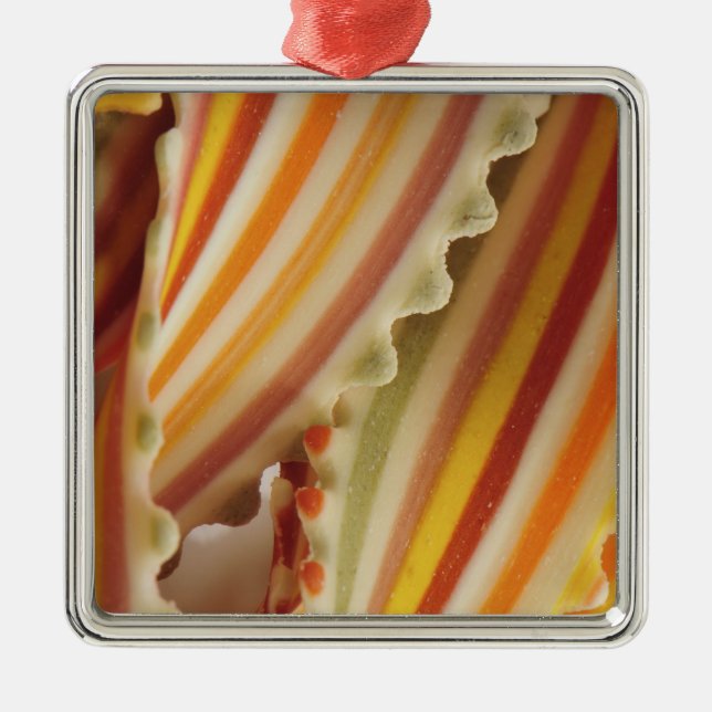 USA. Close-up of dried rainbow pasta noodles. Metal Tree Decoration (Front)