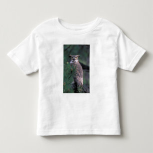 USA, CO, Colorado Springs. Great Horned Owl Toddler T-Shirt