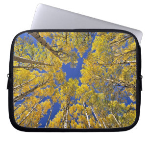 USA, Colorado, Aspen area. Aspen forest in fall Laptop Sleeve