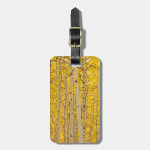 USA, Colorado. Aspens In Gunnison National Luggage Tag