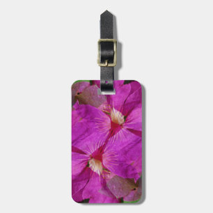 USA, Colorado, Boulder. Clematis flower montage Luggage Tag