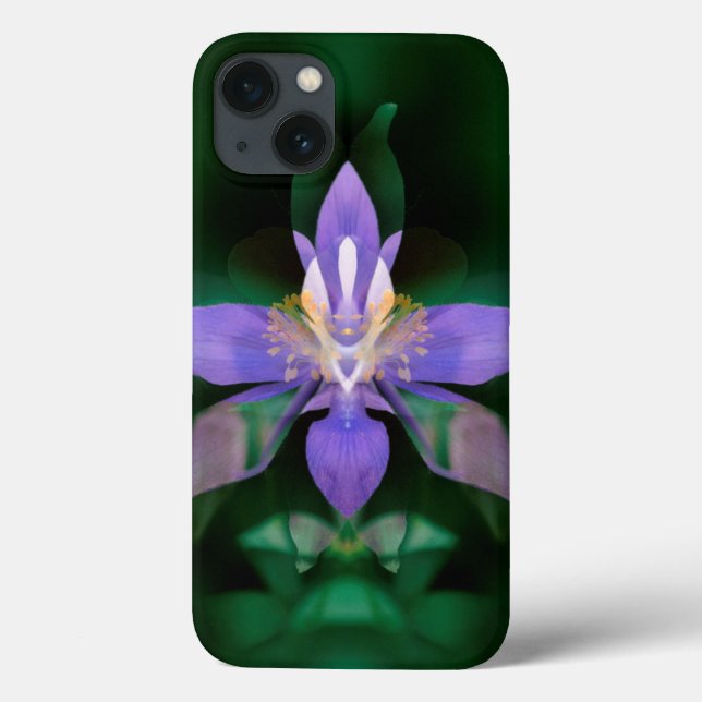 USA, Colorado, Boulder County Case-Mate iPhone Case (Back)