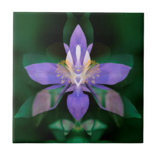 USA, Colorado, Boulder County Ceramic Tile