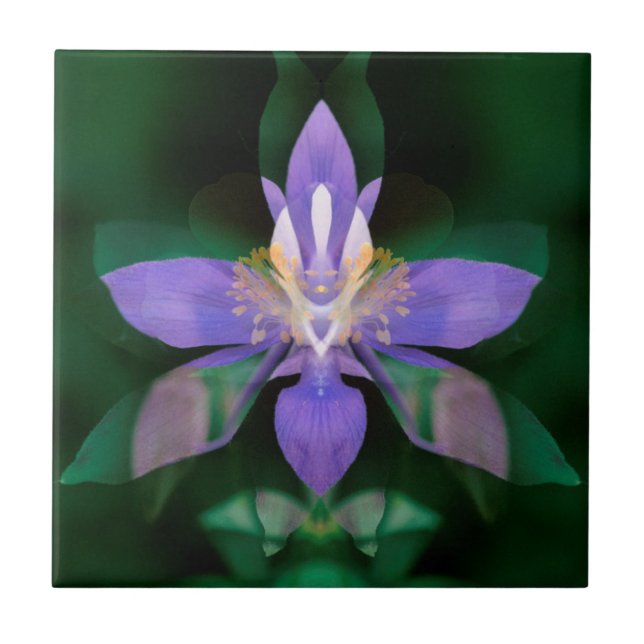 USA, Colorado, Boulder County Ceramic Tile (Front)