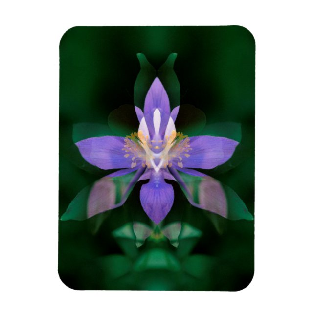 USA, Colorado, Boulder County Magnet (Vertical)