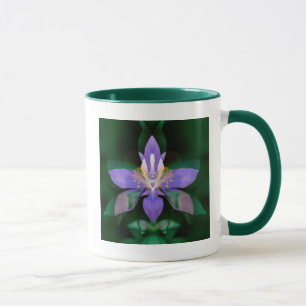USA, Colorado, Boulder County Mug