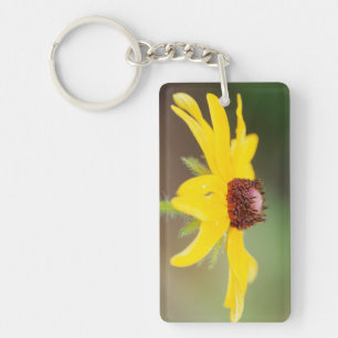 USA, Colorado, Boulder. Sunflower close-up Key Ring
