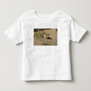 USA, Colorado, Breckenridge. Alert red fox Toddler T-Shirt