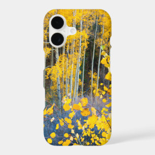 USA, Colorado. Bright Yellow Aspens In Rockies 2