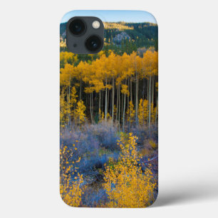 USA, Colorado. Bright Yellow Aspens in Rockies iPhone 13 Case