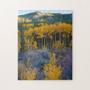USA, Colorado. Bright Yellow Aspens in Rockies Jigsaw Puzzle