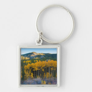 USA, Colorado. Bright Yellow Aspens in Rockies Key Ring