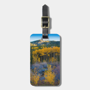 USA, Colorado. Bright Yellow Aspens in Rockies Luggage Tag