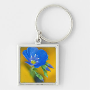 USA, Colorado. Close-up of cranesbill geranium Key Ring