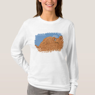 USA, Colorado, Colorado Springs, Garden of the T-Shirt