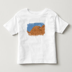 USA, Colorado, Colorado Springs, Garden of the Toddler T-Shirt