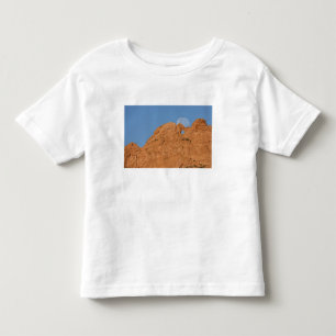 USA, Colorado, Colorado Springs, Garden of the Toddler T-Shirt