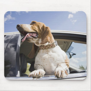 USA, Colorado, dog looking through car window 2 Mouse Pad