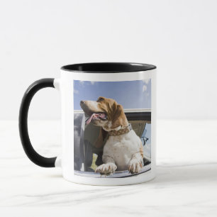 USA, Colorado, dog looking through car window 2 Mug