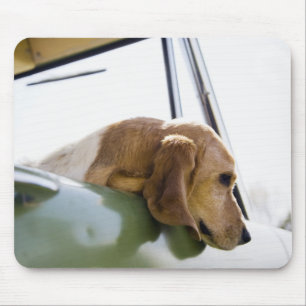 USA, Colorado, dog looking through car window Mouse Pad