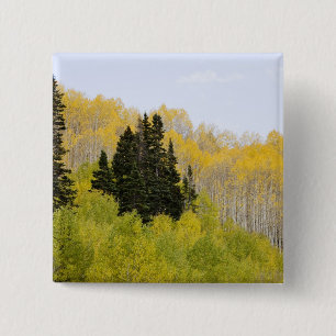 USA, Colorado, Gunnison National Forest, along 2 15 Cm Square Badge