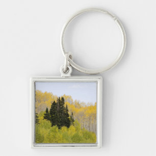 USA, Colorado, Gunnison National Forest, along 2 Key Ring